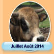 Juillet Août 2014