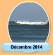 Décembre 2014