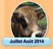 Juillet Août 2014