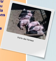 Visite des fermes