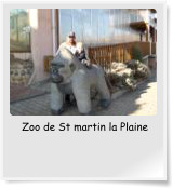 Zoo de St martin la Plaine