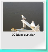 10 Dives sur Mer