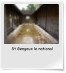 St Gengoux le national