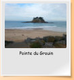 Pointe du Grouin