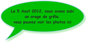 Le 5 Aout 2012, nous avons subi un orage de grêle. vous pouvez voir les photos ici