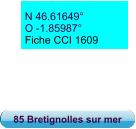 N 46.61649° O -1.85987° Fiche CCI 1609 85 Bretignolles sur mer