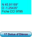 N 45.91169° O -1.25435° Fiche CCI 9785 17 Dolus d’Oléron