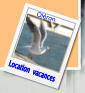 Location  vacances Oléron