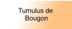 Tumulus de  Bougon