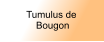 Tumulus de  Bougon