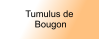 Tumulus de  Bougon