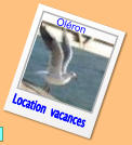 Location  vacances Oléron