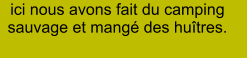 ici nous avons fait du camping sauvage et mangé des huîtres.