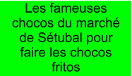 Les fameuses chocos du marché de Sétubal pour faire les chocos fritos