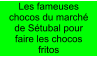 Les fameuses chocos du marché de Sétubal pour faire les chocos fritos