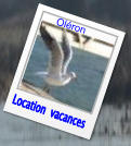 Location  vacances Oléron