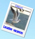 Location  vacances Oléron