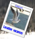 Location  vacances Oléron