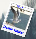 Location  vacances Oléron