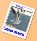 Location  vacances Oléron