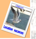 Location  vacances Oléron