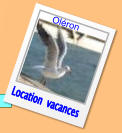 Location  vacances Oléron