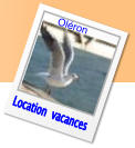 Location  vacances Oléron