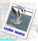 Location  vacances Oléron
