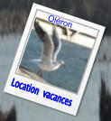Location  vacances Oléron