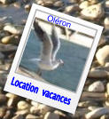 Location  vacances Oléron