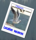Location  vacances Oléron