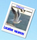 Location  vacances Oléron