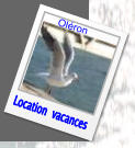 Location  vacances Oléron