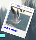 Location  vacances Oléron