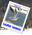 Location  vacances Oléron