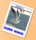 Location  vacances Oléron
