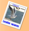 Location  vacances Oléron