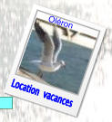 Location  vacances Oléron