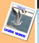 Location  vacances Oléron