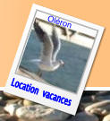 Location  vacances Oléron