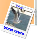 Location  vacances Oléron