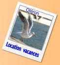 Location  vacances Oléron