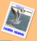 Location  vacances Oléron