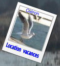 Location  vacances Oléron